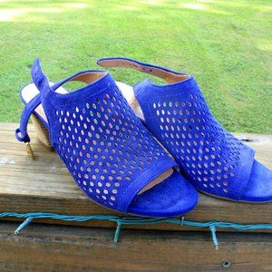 Blue Chunky Heels with Buckle